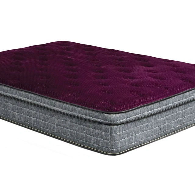 Purple/Grey 13" Euro Pillow Top Mattress Non-Flip, Full