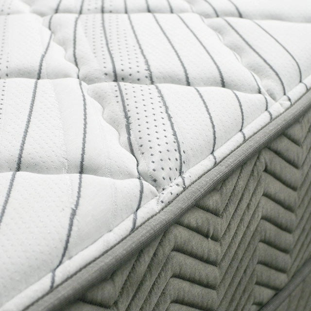 EDREA White/Gray 10" Tight Top Pocket Coil