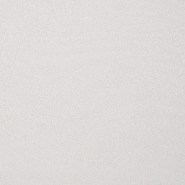 ALISHA Side Chair (2/CTN)