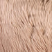 Wendy Blush 20" X 20" Pillow, Fur Blush (2/CTN) image